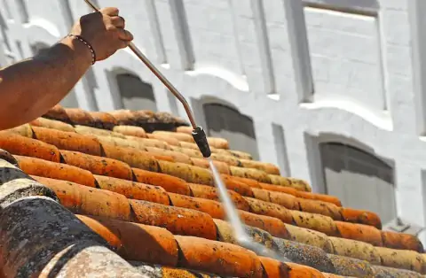 Démoussage de toiture en Gironde